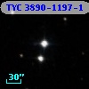 TYC 3890-1197-1