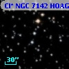 Cl* NGC 7142   HOAG      12