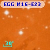 EGG M16-E23