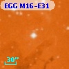 EGG M16-E31