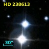HD 238613