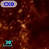 CXOU J053542.4-691152