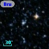 Bruck 133