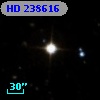 HD 238616