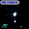 HD 238614