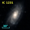 IC 1231