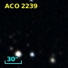 ACO  2239