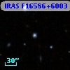 IRAS F16586+6003