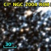 Cl* NGC 2004    ROB D10