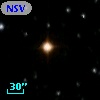 NSV   804