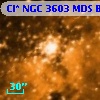 Cl* NGC 3603    MDS      B