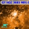 Cl* NGC 3603    MDS      C