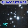 Cl* NGC 2175      H      28