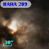 IfAHA 209