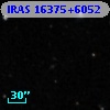IRAS 16375+6052
