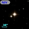NSV  9161