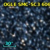 OGLE J004342.19-733044.8