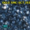 OGLE J005730.51-723119.8