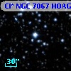 Cl* NGC 7067   HOAG       2