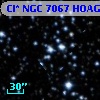 Cl* NGC 7067   HOAG       5
