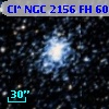 Cl* NGC 2156     FH      60