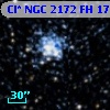 Cl* NGC 2172     FH      17