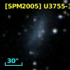 [SPM2005] U3755-3-1737