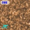 SWEEPS 13