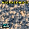 MACHO 95-BLG-37