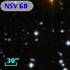 NSV    60