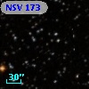 NSV   173