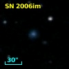 SN 2006im