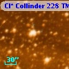 Cl* Collinder  228     TM     101