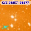 GSC 08957-01977