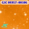 GSC 08957-00106