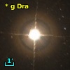 * g Dra