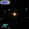 NSV  1003