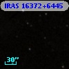 IRAS 16372+6445