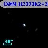 1XMM J123730.2+260458