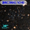 [BRC2005] V245
