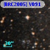 [BRC2005] V091