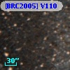 [BRC2005] V110