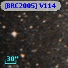 [BRC2005] V114