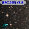 [BRC2005] V118