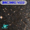 [BRC2005] V133