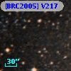 [BRC2005] V217