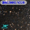 [BRC2005] V229