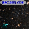 [BRC2005] V236