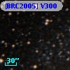[BRC2005] V300
