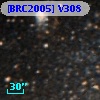[BRC2005] V308